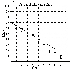 mc004-3.jpg